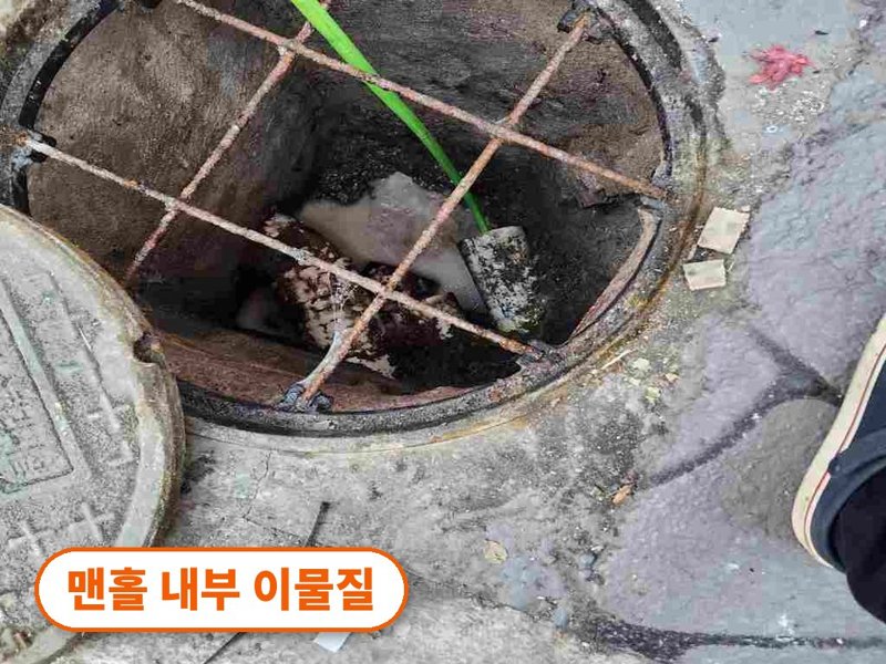 평택 1층 화장실로 물이 올라올 때 확인할 것