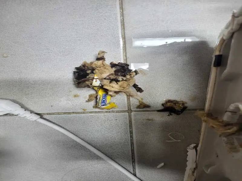 평택 배관 이물질 제거 사례 5